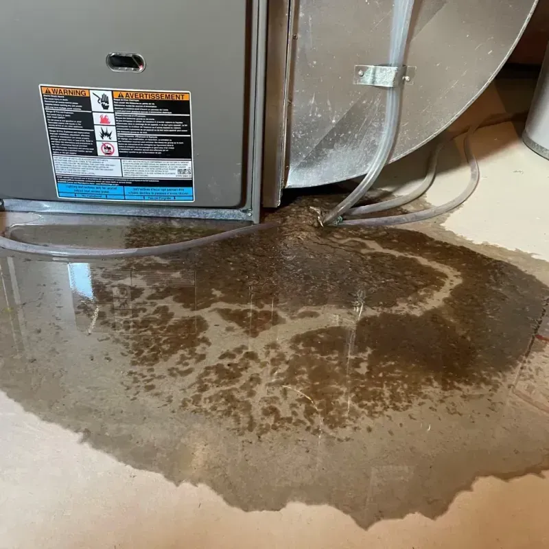 Appliance Leak Cleanup in Olathe, KS